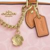 Mini Rowan-crossbodytas van Signature Canvas met bedels