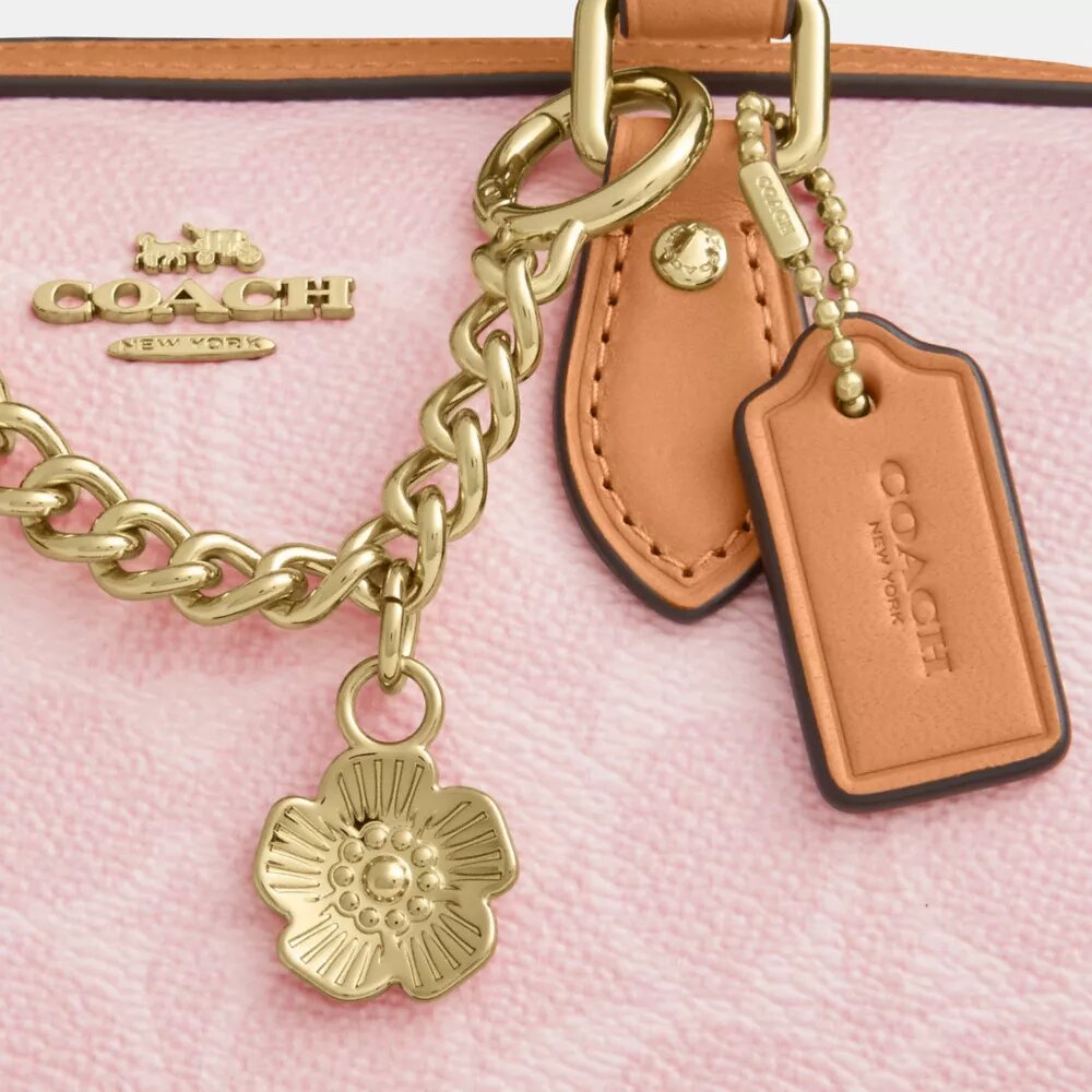 Mini Rowan-crossbodytas van Signature Canvas met bedels