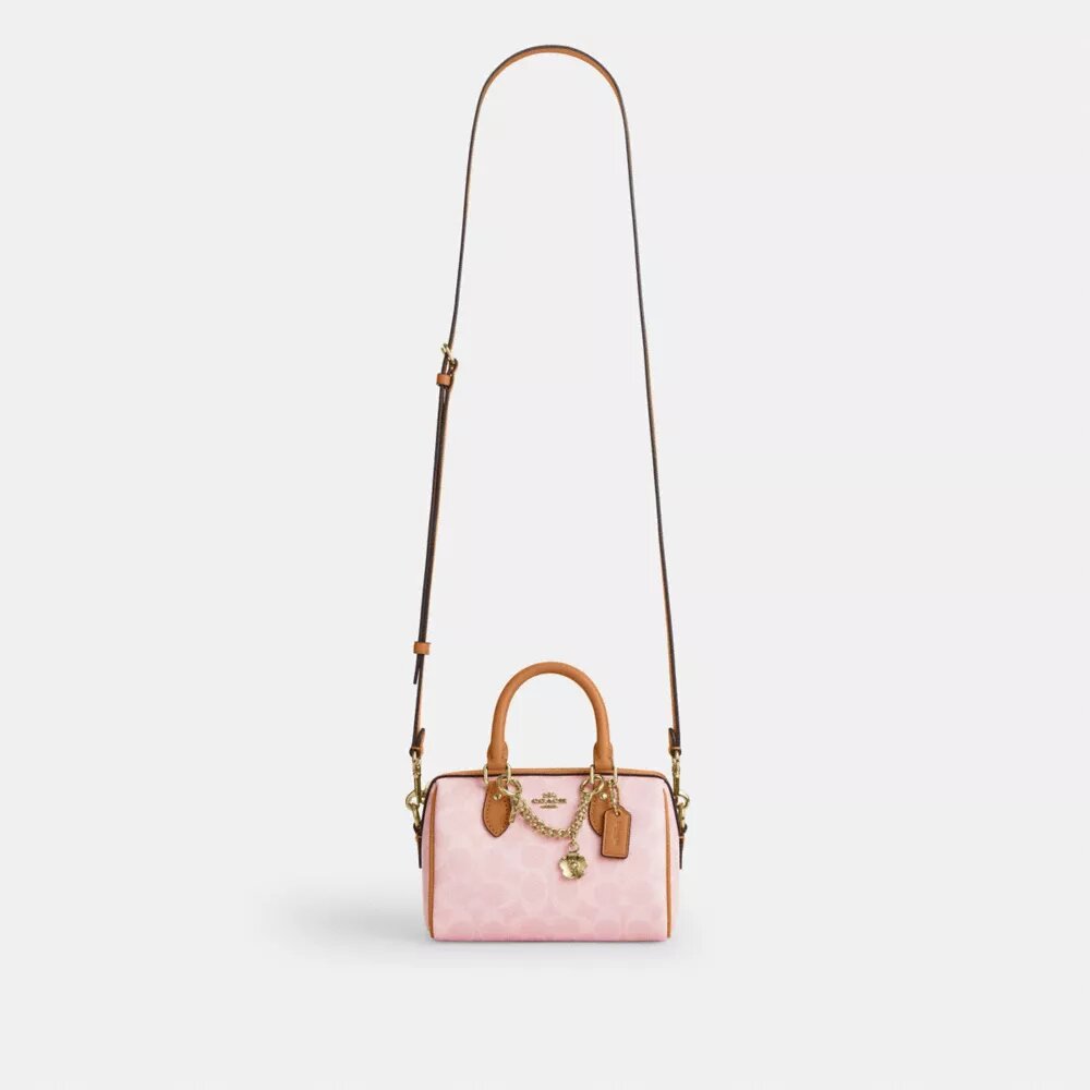 Mini Rowan-crossbodytas van Signature Canvas met bedels