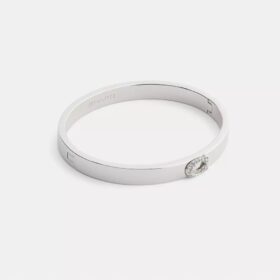 Pava C-armband met scharnier
