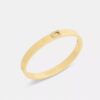 Pava C-armband met scharnier