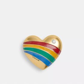 Rainbow Heart-bedel voor schoenen