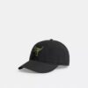 Rexy-patch baseballpet