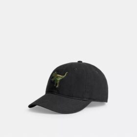Rexy-patch baseballpet