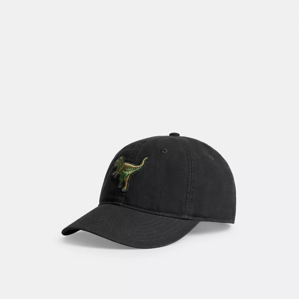 Rexy-patch baseballpet
