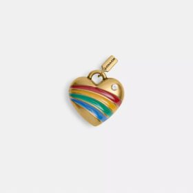 Schoenvetersbedel met regenbooghart