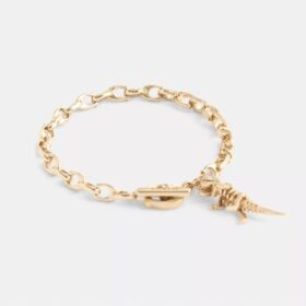 Skeletachtige Rexy-armband met kenmerkende ketting
