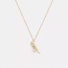 Skeletachtige Rexy-hangerketting