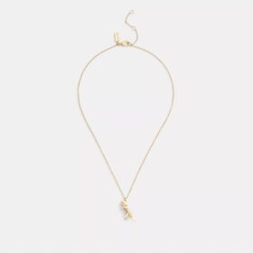 Skeletachtige Rexy-hangerketting