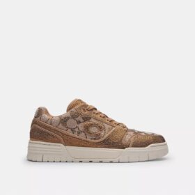 Soho-sneakers in Crystal Signature-jacquard