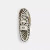Soho-sneakers met dubbele bandjes en wolken