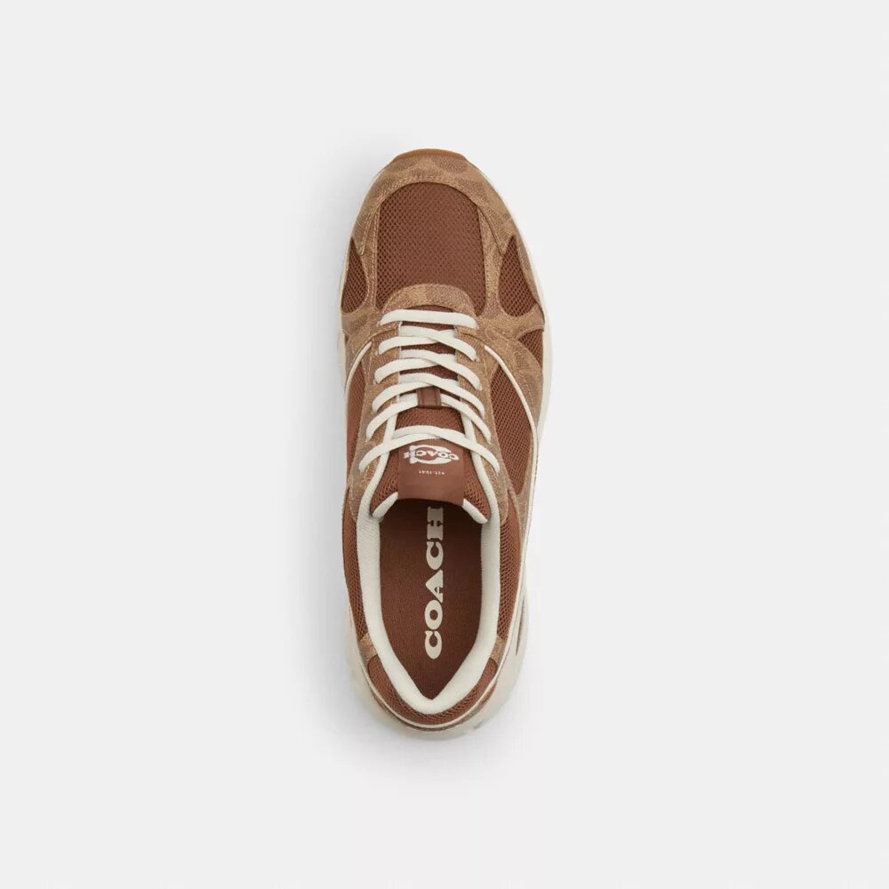 Sportsneakers van Signature Canvas