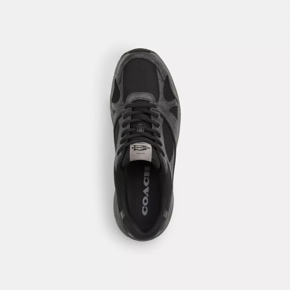 Sportsneakers van Signature Canvas