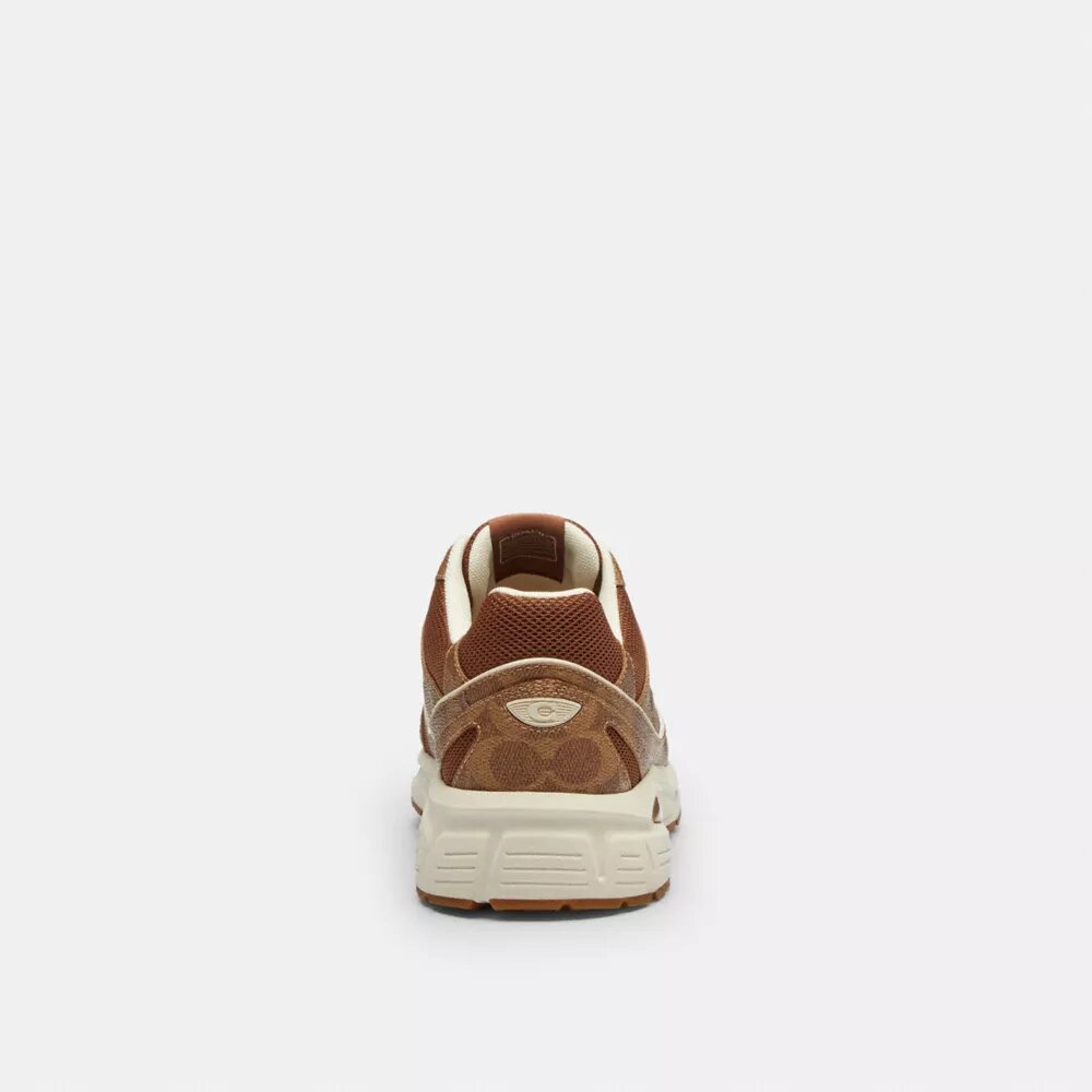 Sportsneakers van Signature Canvas