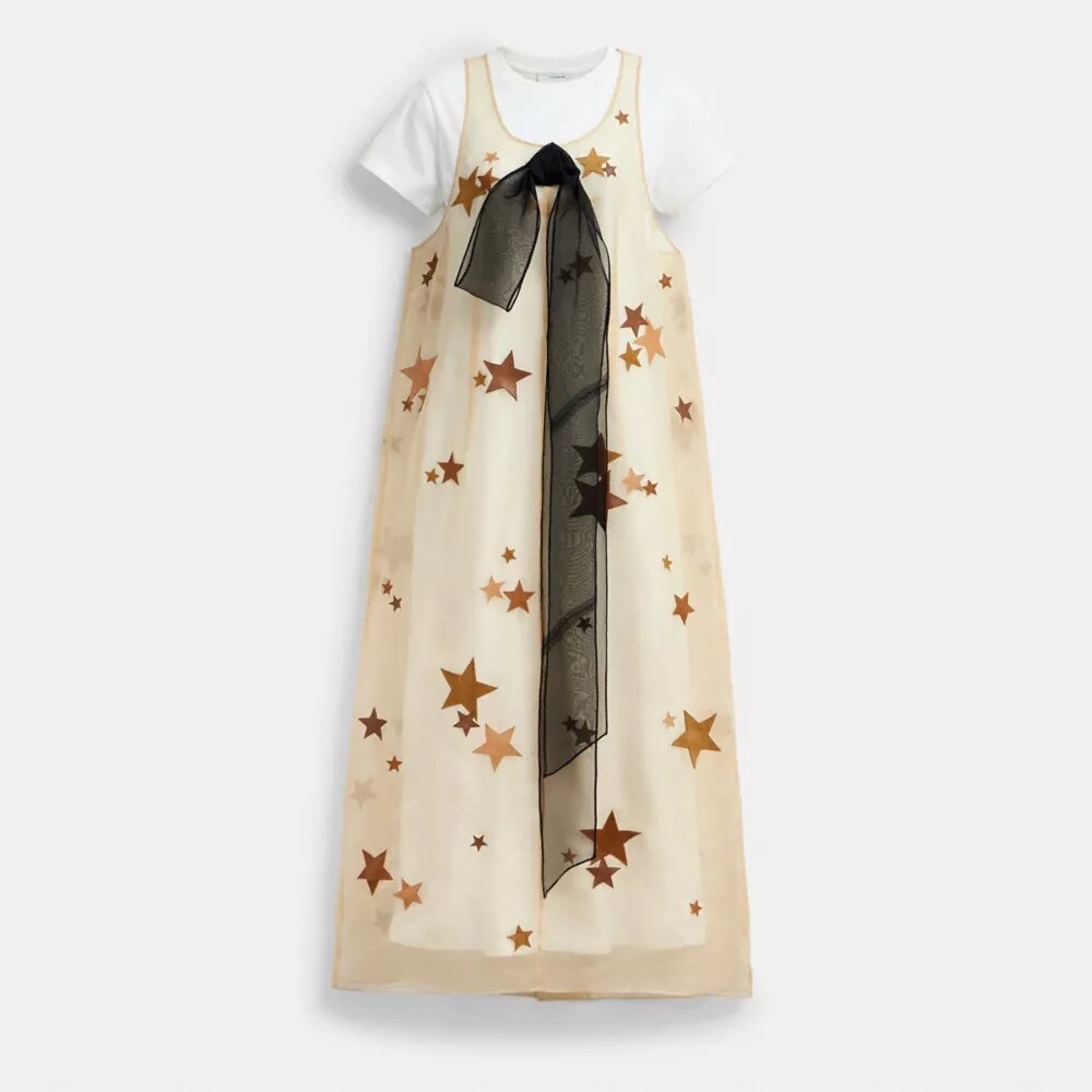 Star-jurk van organza