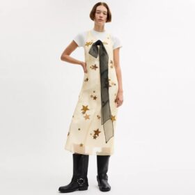Star-jurk van organza