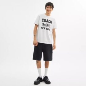 T-shirt met Horse and Carriage