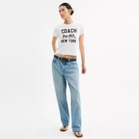 T-shirt met Horse and Carriage van biologisch katoen