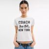 T-shirt met Horse and Carriage van biologisch katoen