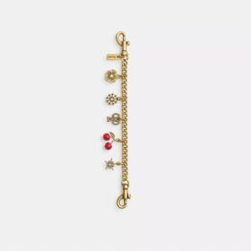 Tassieraad met ketting en kristallen motief als bedel