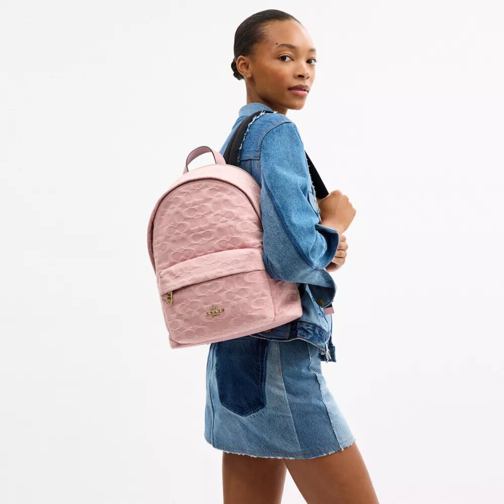 Taylor kleine rugzak in kenmerkend denim
