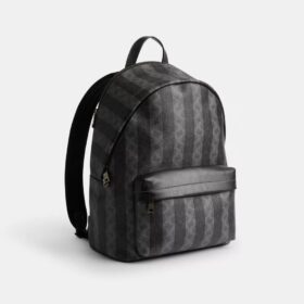 Taylor-rugzak van Signature Canvas met strepen