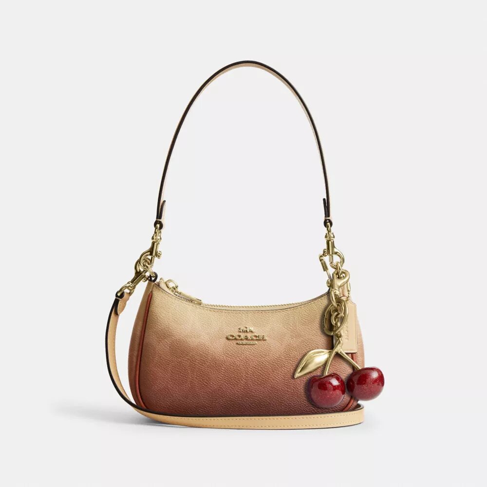 Teri Mini-crossbodytas van Ombre Signature Canvas