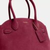 Zachte Empire-Carryall-tassen 21