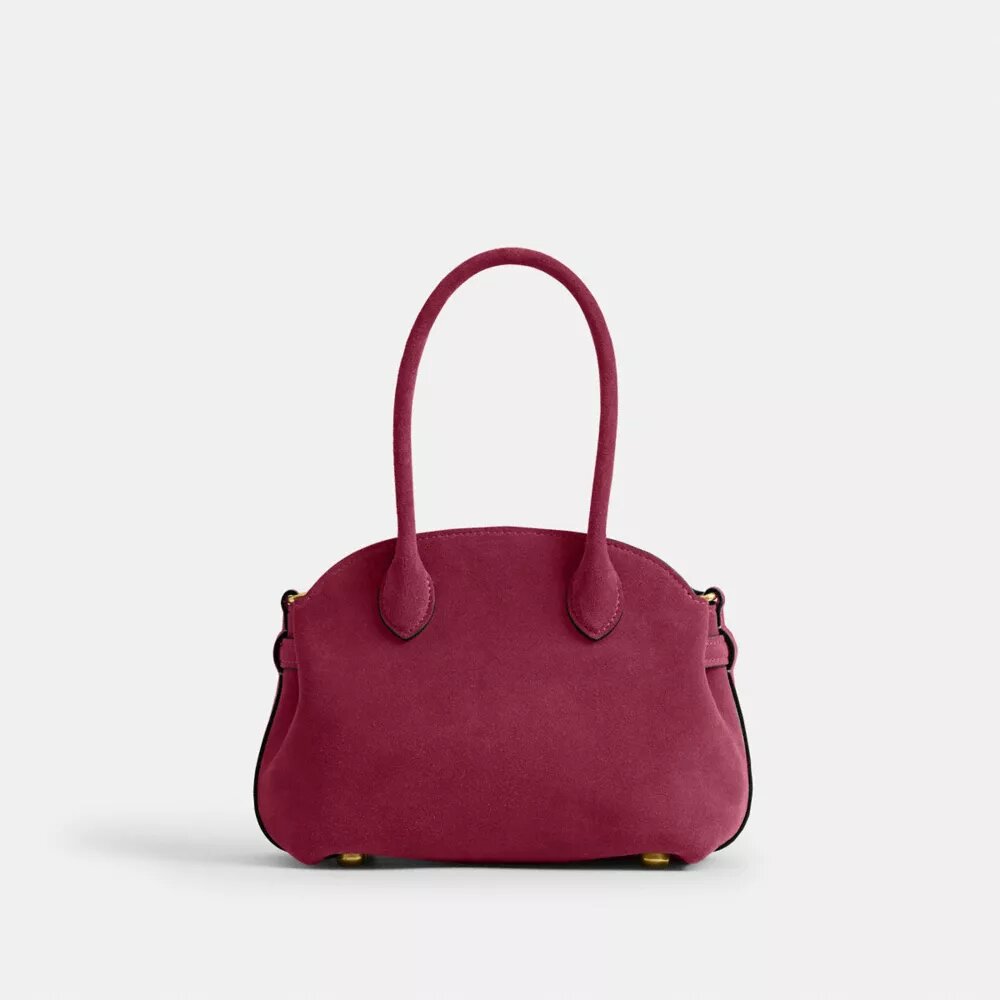 Zachte Empire-Carryall-tassen 21